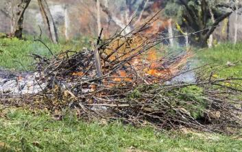 Un brûlage des déchets verts