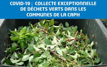 collecte EXCEPTIONNELLE de déchets verts dans les communes de la CAPH