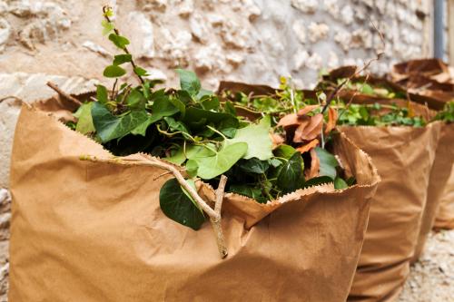 Rappel des consignes pour la collecte des déchets verts en pàp sur la CAPH